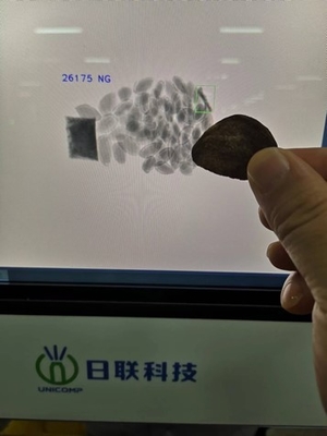 Advanced X-Ray Inspection System for Unwanted Object Detection 450kg Capacity