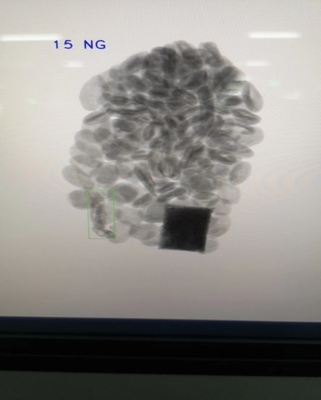 Advanced X-Ray Inspection System for Unwanted Object Detection 450kg Capacity