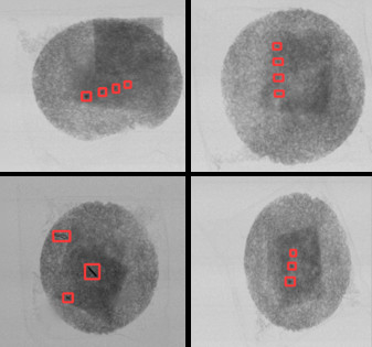X-Ray Inspection System For Foreign Material Detection In Packed Instant Noodles/Cup Noodles