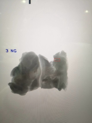 Chicken Bone X-Ray Inspection System 80kV/210-350W with 10-40m/min Overload Configuration