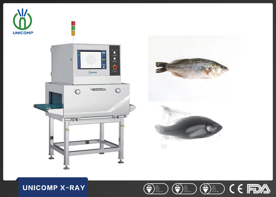 Accurate X-ray Inspection System for Detecting Foreign Matters in Frozen Sea Bass Food