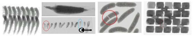 food-xray-images