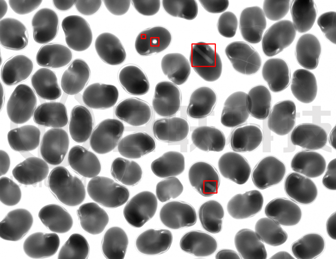 微信图片_2025-09-16_170835_379